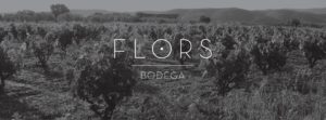Visita a Bodegas Flors Sonia Selma 16012016 4
