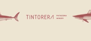 tintorera-winery-patacona